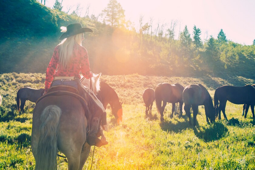  blond woman on a horse at a ranch, West Yellowstone, Montana 