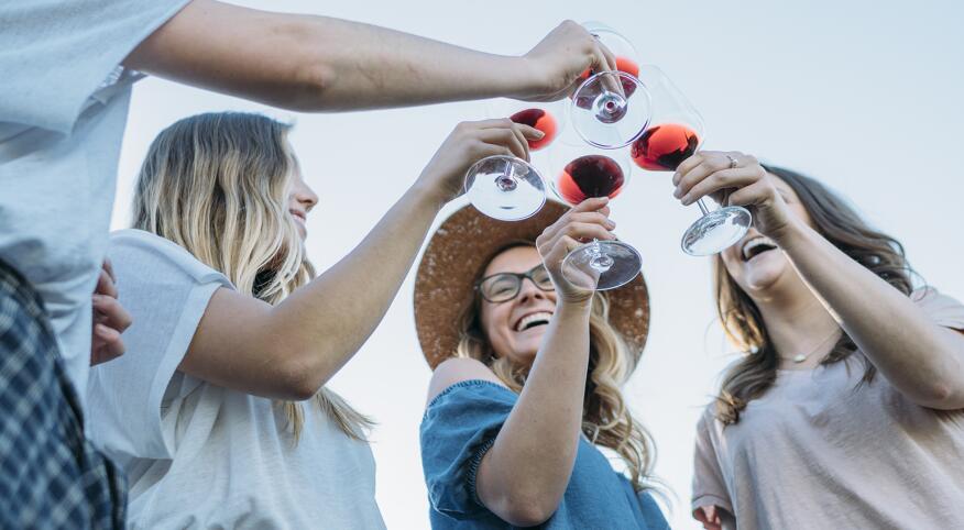 A group of friends making a toast together.