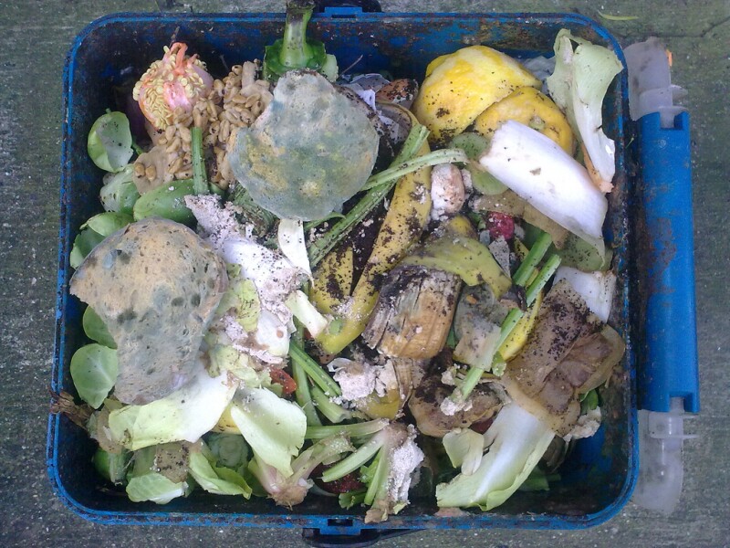 foodwaste-Nick-Saltmarsh