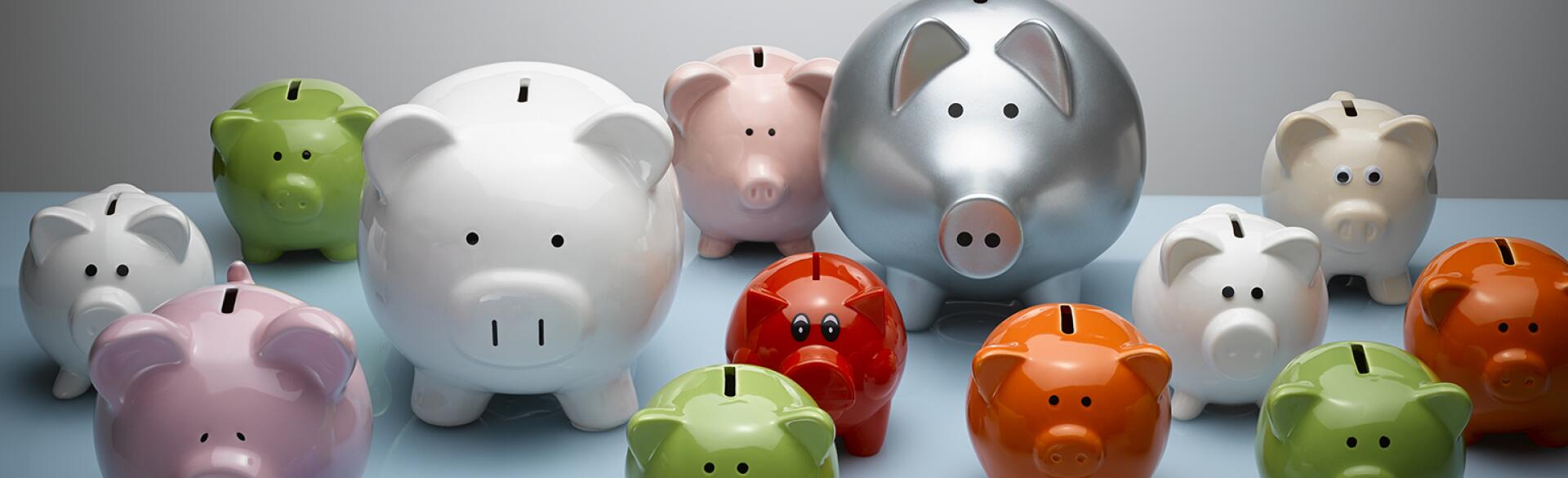 A photo of several piggy banks of various sizes.