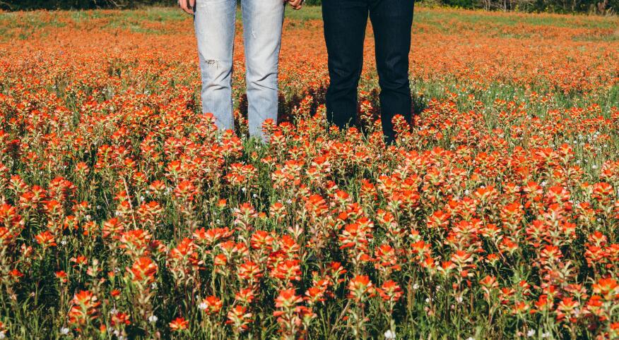 Couple standing hand in hand in a field of wildflowers.