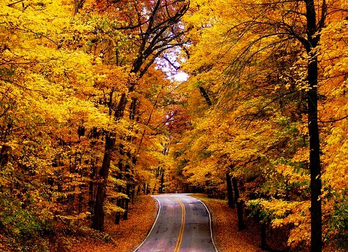 Fall In Wisconsin