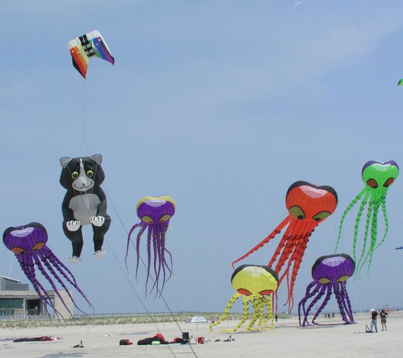 Wildwoods International Kite Festival