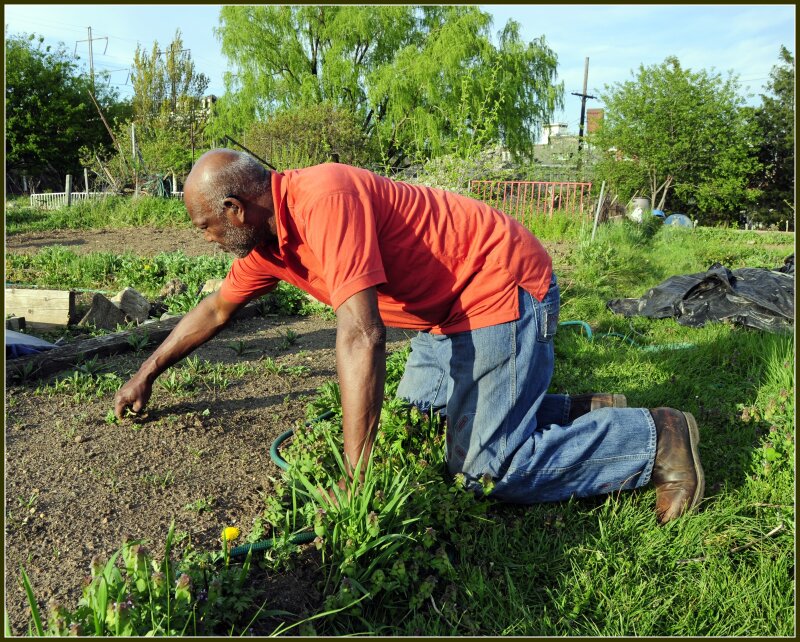 gardening