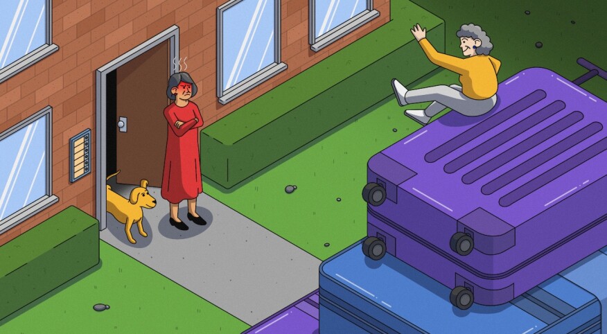 angry woman, dog, friend sitting on luggage, illustration