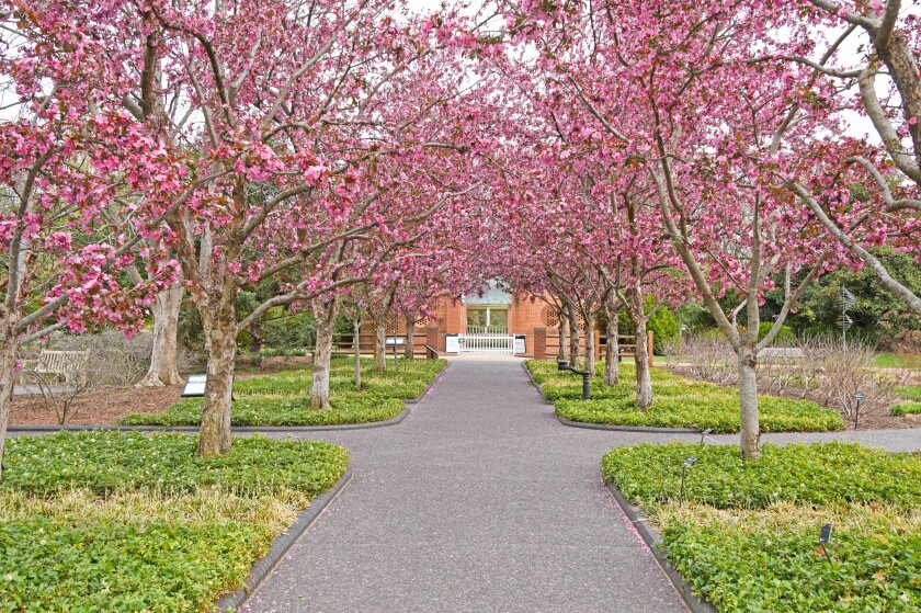 The Kemper Center at Missouri Botanical Garden
