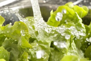 Lettuce being washed in the sink with splashing water