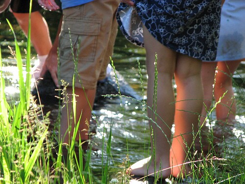 kids in pond