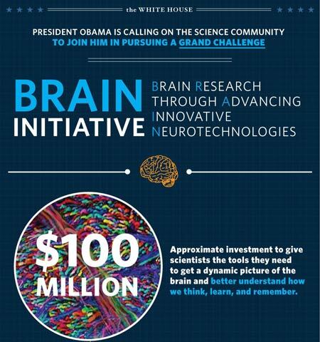 brain-initiative-detail