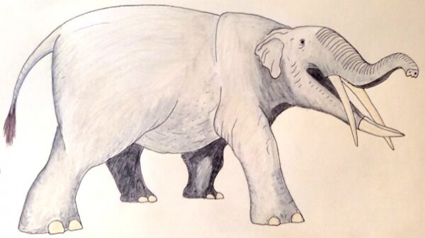 Gomphotherium - Elephant-like creature