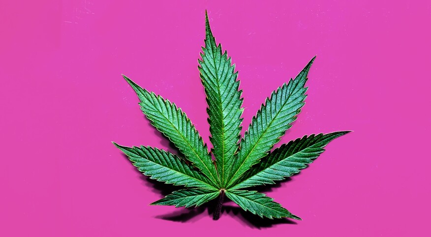 Cannabis leaf over a bright red background