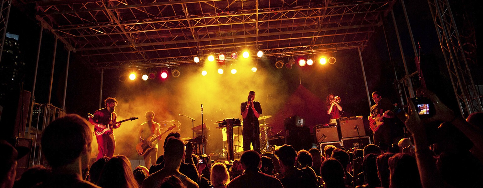 The Afro-Punk Festival at Commodore Barry Park in New York.