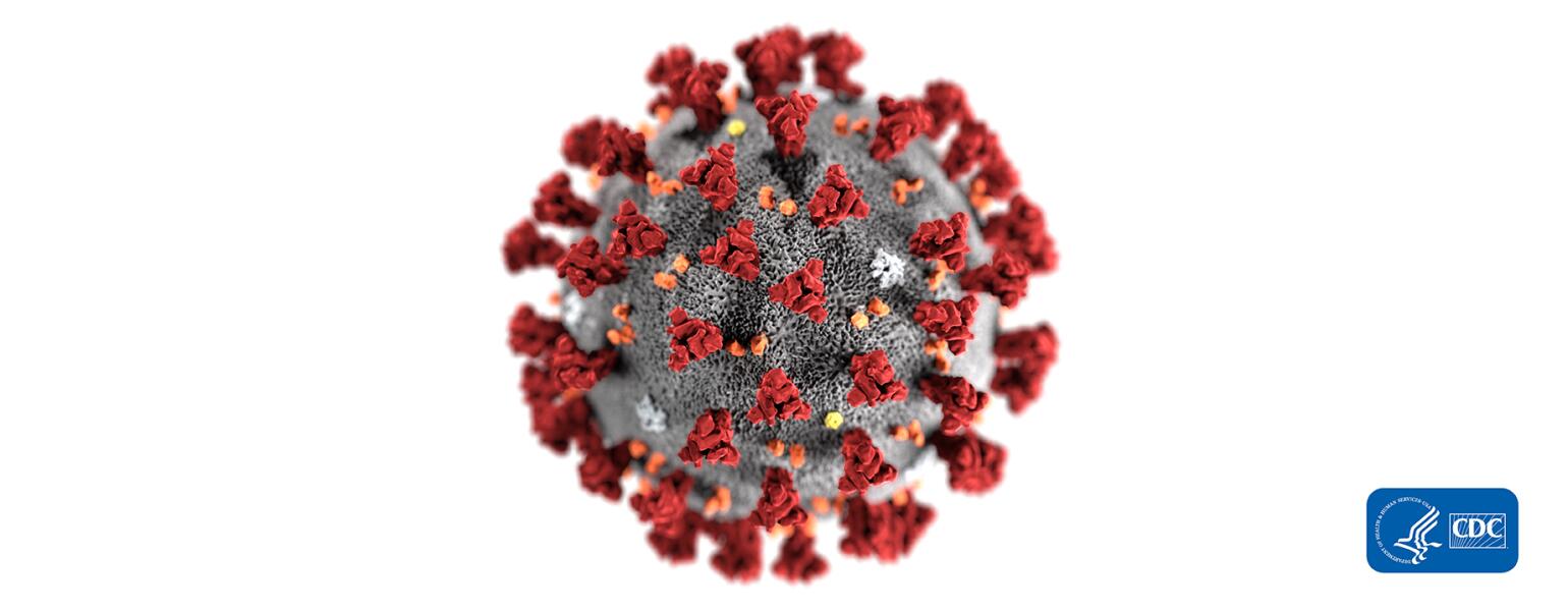 Coronavirus Illustration