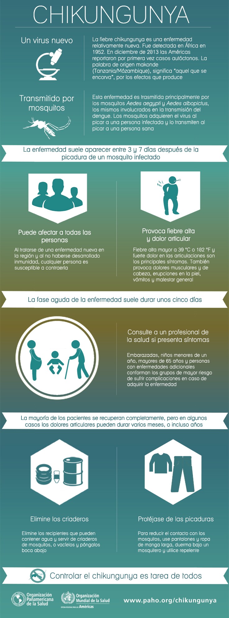 Chikungunya-inforgrafia