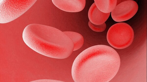 B0007649 Blood cells in a blood vessel