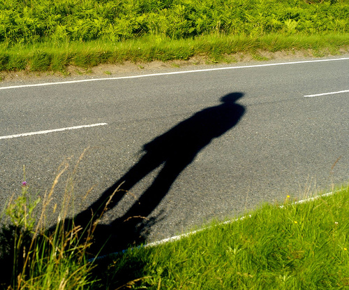 hitchhiker shadow