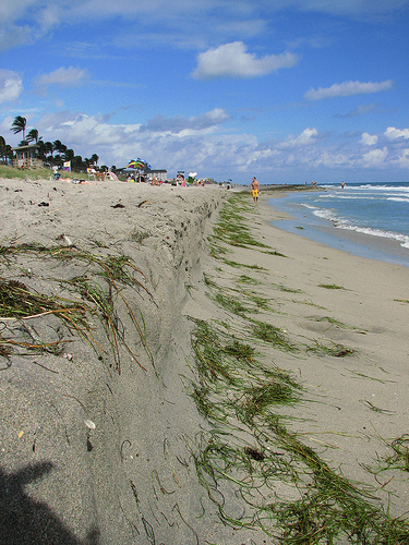 Beach erosion versageek