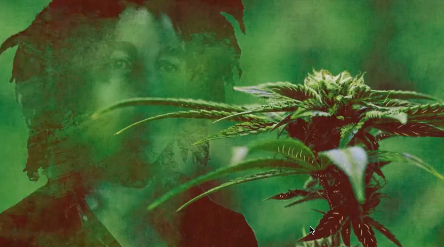 Marley Natural Cannabis Products