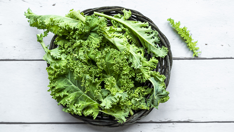 A close-up view of a bowl of kale
